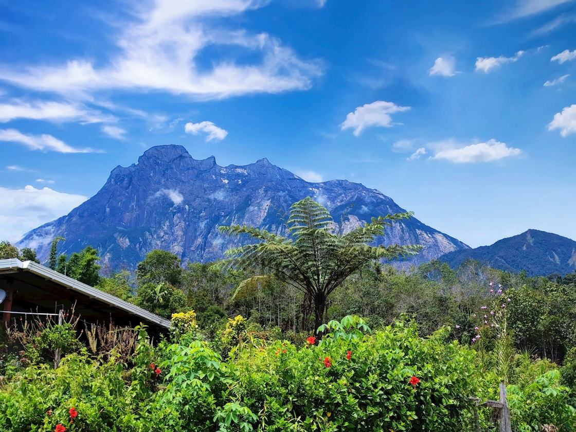 Mount Kinabalu behind lush Sabah gardens